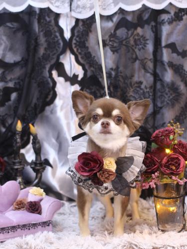 20231004むぎくん